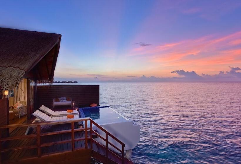 Вилла с 1 спальней и бассейном, Grand Park Kodhipparu Maldives   Child Stay & Eat Free Until 30 Nov 2024