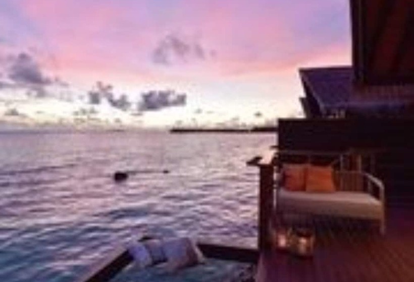 Вилла с 1 спальней и бассейном, Grand Park Kodhipparu Maldives   Child Stay & Eat Free Until 30 Nov 2024