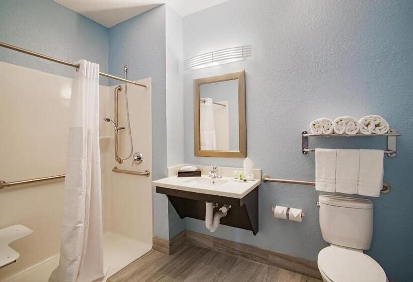 Номер Стандарт Кровать Кинг Адаптированный для Инвалидов, Iris Garden Inn