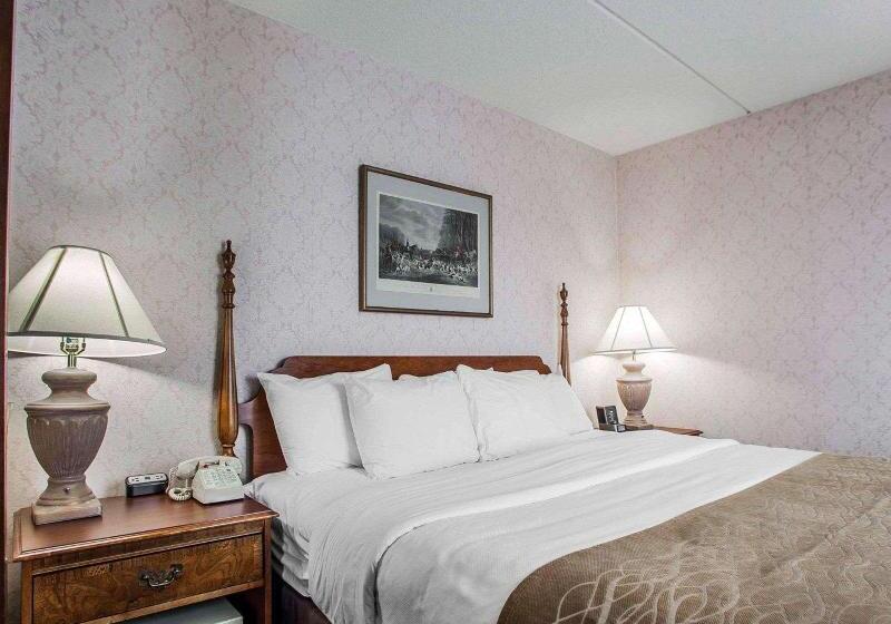 Стандартный Номер Кровать Кинг, Iris Garden Inn