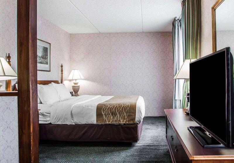 Стандартный Номер Кровать Кинг, Iris Garden Inn