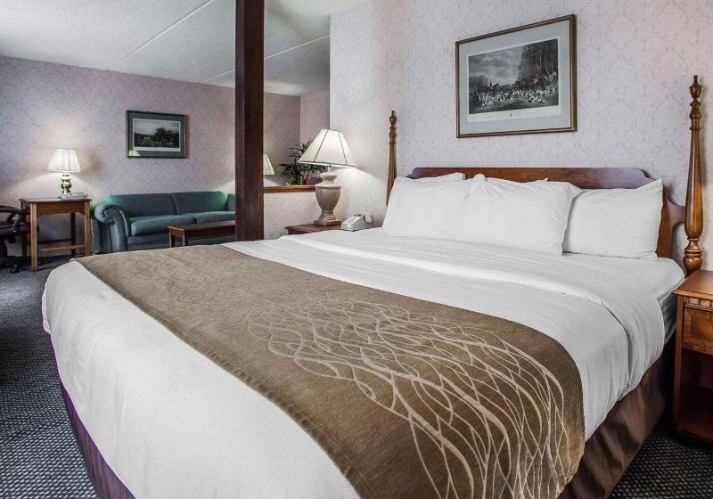 اتاق استاندارد با تخت بزرگ, Iris Garden Inn