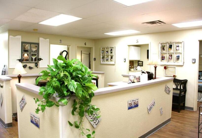 豪华套房, A Place To Stay Rooms