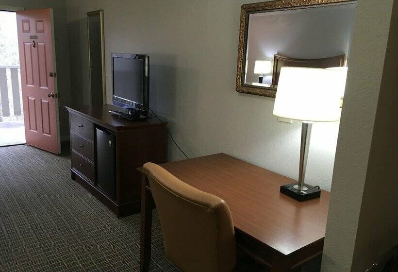 Номер Стандарт, The University Inn