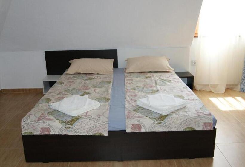 استودیوی استاندارد, Guest House Petrovi