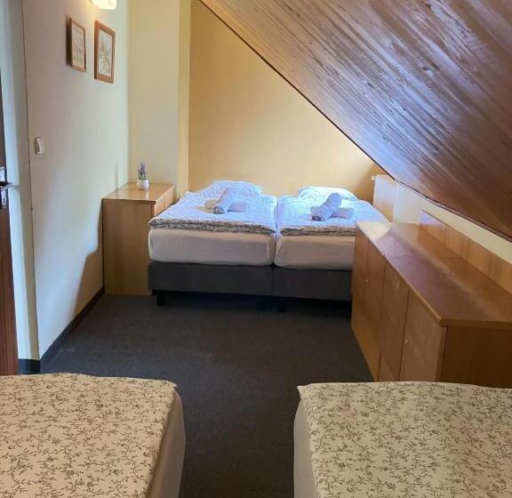 Семейный Номер, Star Hotels Benecko