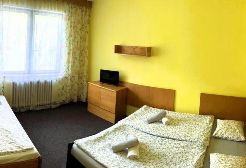 Номер Стандарт Трехместный, Star Hotels Benecko