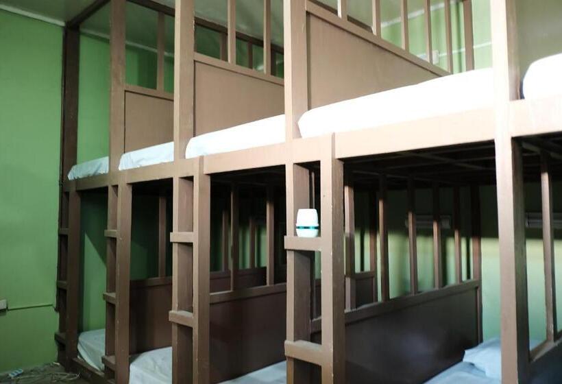 공동 객실, Malapascua Budget Inn Mbi Dive Center