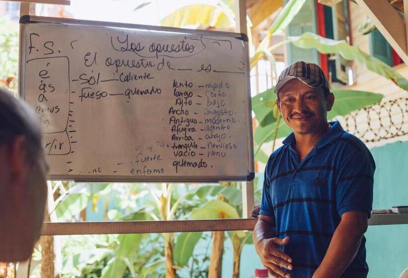 سرير فى غرفة مشتركه, Spanish By The Sea   Bocas