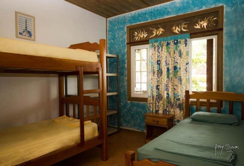 سرير فى غرفة مشتركه, Spanish By The Sea   Bocas