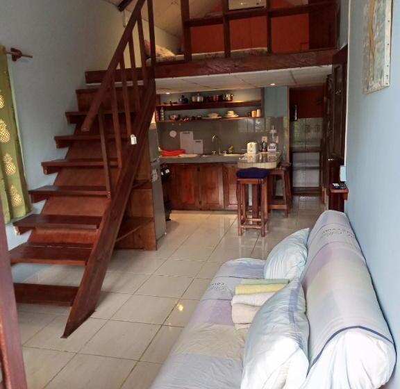 شقة غرفة واحدة, Surfari Bocas