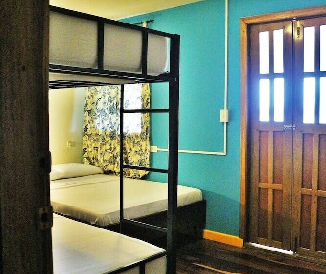 اتاق ساده چهارنفره, Hostel Mamallena Bocas Del Toro   Adults Only