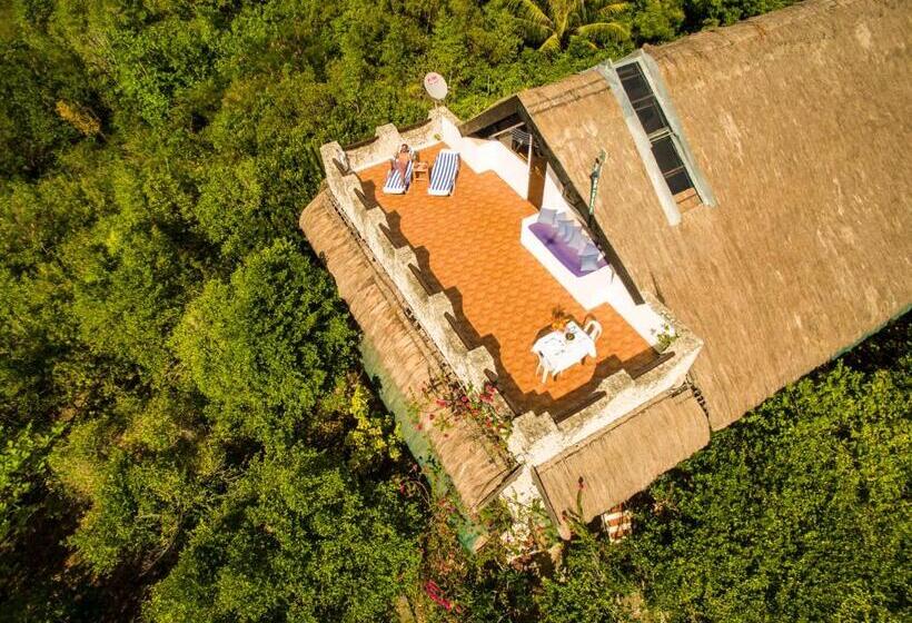 Люкс, The Blue Orchid Resort