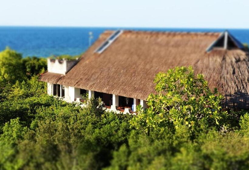 Люкс, The Blue Orchid Resort