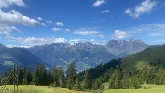 标准间带山景, Alphotel Biel Kinzig   Access By Cable Car Only!