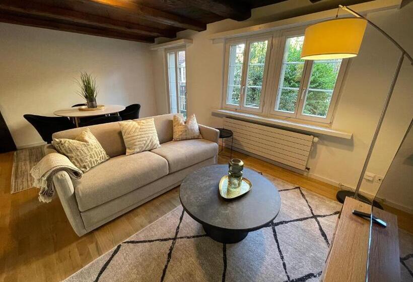 شقة سوبريور غرفة واحدة, Ariser   Zug Old Town Suites