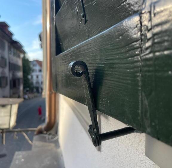 شقة سوبريور غرفة واحدة, Ariser   Zug Old Town Suites