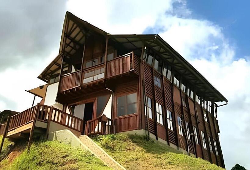 Suíte Júnior, Club Cean