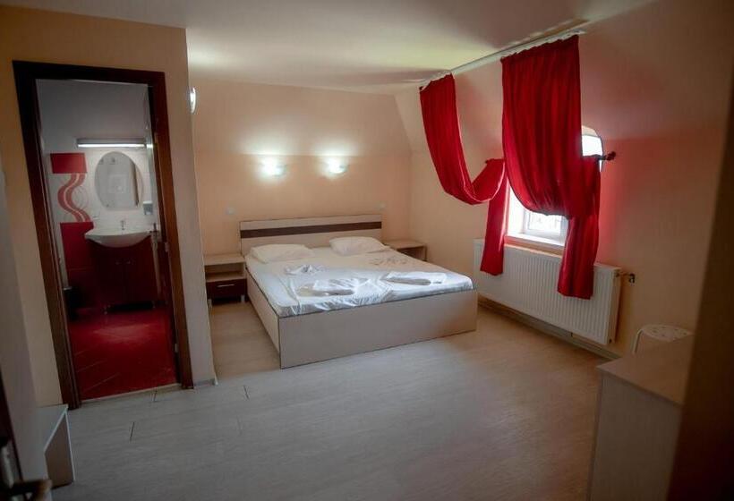 Номер Deluxe, Vila Panseluța
