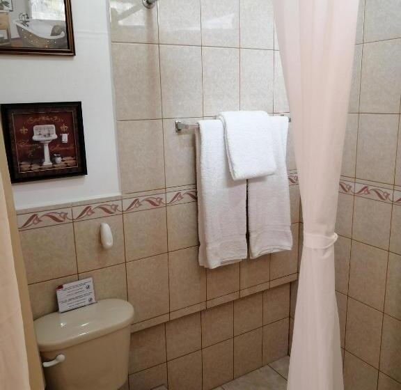 اتاق استاندارد, Novohostal B&b