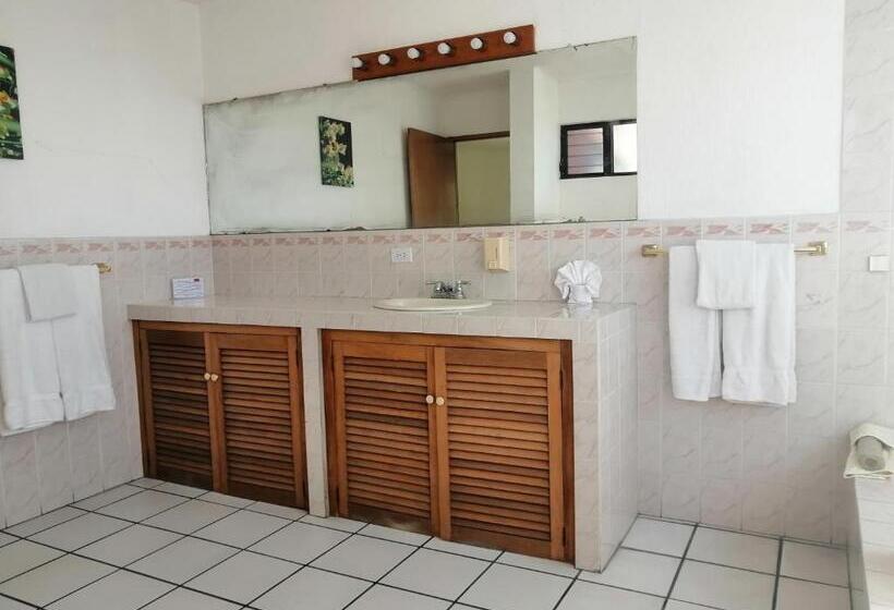 اتاق خانوادگی, Novohostal B&b