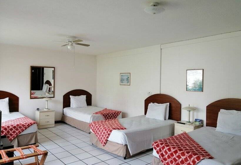 اتاق استاندارد چهار تخته, Novohostal B&b
