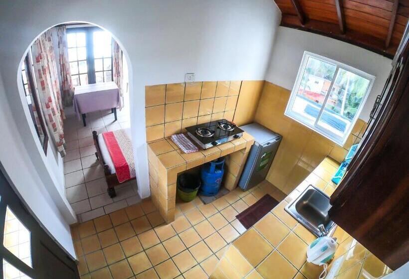 1 Bedroom Deluxe Apartment Sea View, Apollo