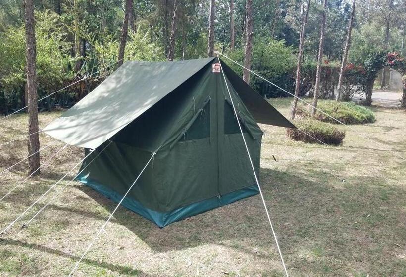 چادر با خدمات رفاهی استاندارد, Triple Eden Resort   Naivasha