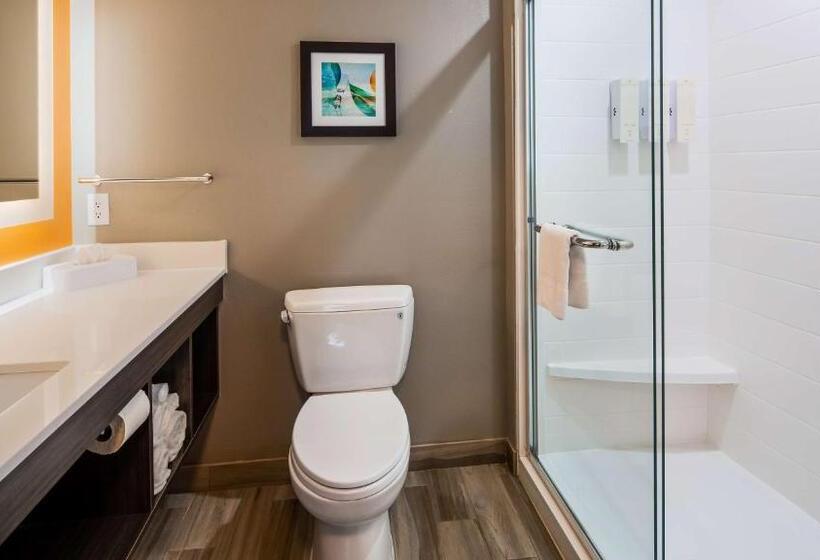 اتاق استاندارد با تخت بزرگ, Best Western Plus Pasadena Inn And Suites