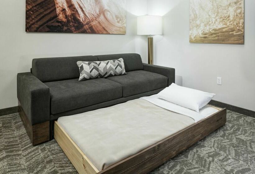 套房, Springhill Suites By Marriott Clearwater Beach