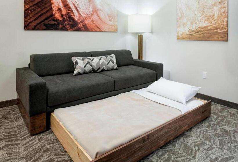 套房, Springhill Suites By Marriott Clearwater Beach