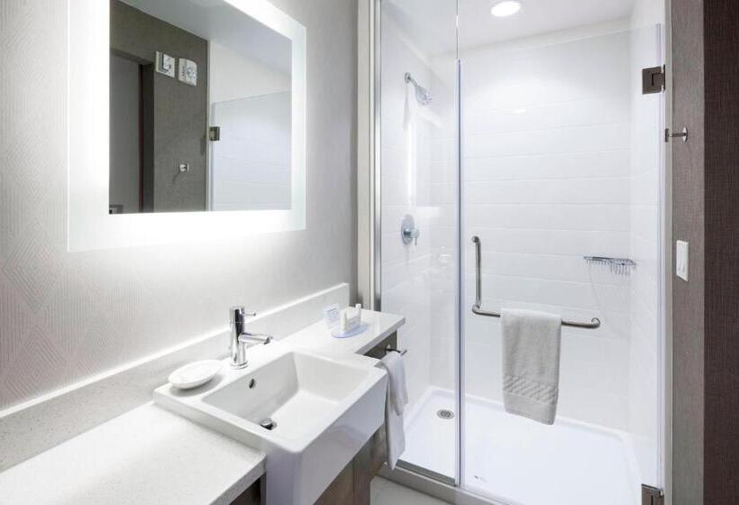 带大床的套房, Springhill Suites By Marriott Clearwater Beach