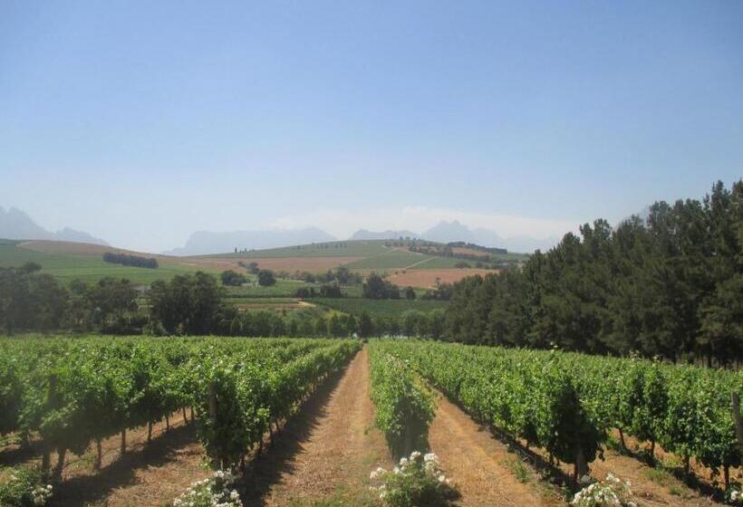 Номер Стандарт, Clos Malverne Wine Estate