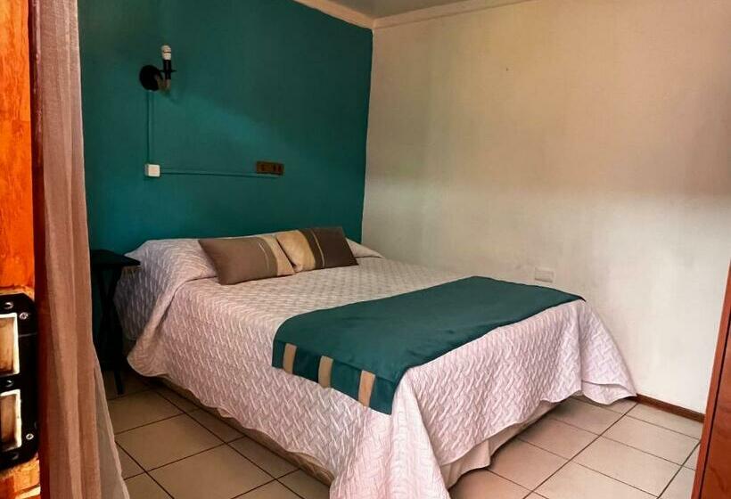 חדר סטנדרט, Hostal Avenue