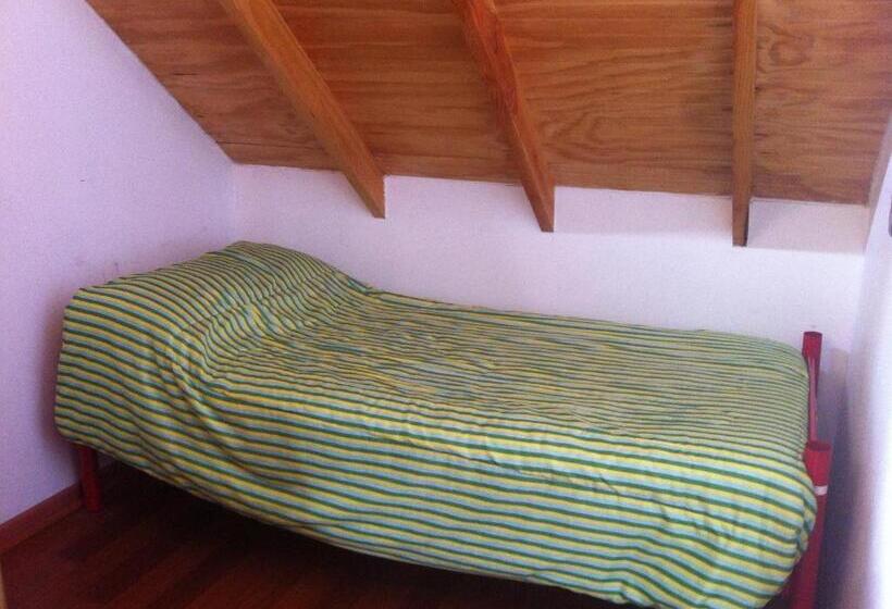 Cama em Quarto Compartilhado, Gecko Hostel