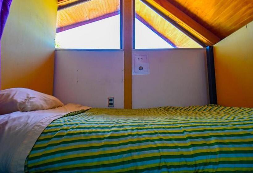 Cama em Quarto Compartilhado, Gecko Hostel