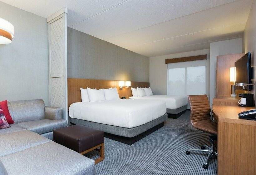 장애인을 위한 킹사이즈 침대 스탠다드 룸, Hyatt Place Ann Arbor