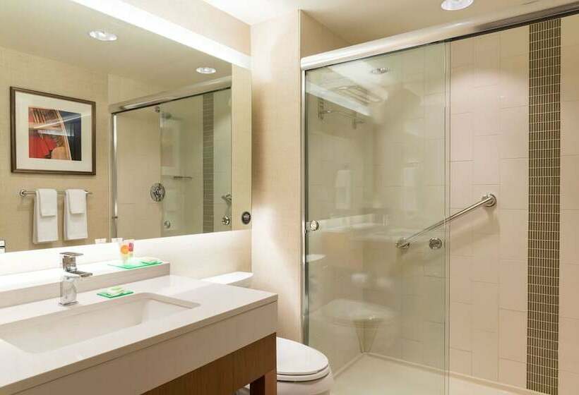 스탠다드 룸 킹사이즈 침대, Hyatt Place Ann Arbor