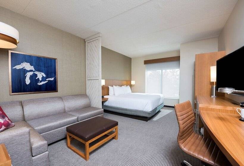 스탠다드 룸 킹사이즈 침대, Hyatt Place Ann Arbor