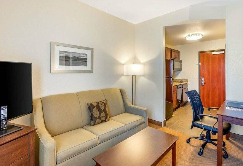 스위트, Mainstay Suites Near Denver Downtown
