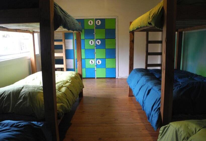 Кровать в Общей Комнате, La Guapa Hostel
