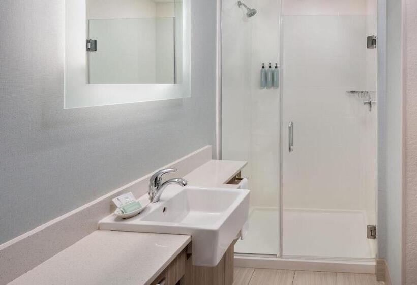 측면 바다 전망 스위트, Springhill Suites By Marriott New Smyrna Beach