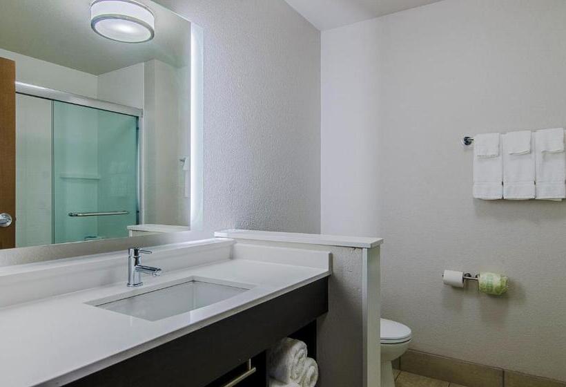 Люкс Кровать Кинг, Holiday Inn Express & Suites   Atchison, An Ihg