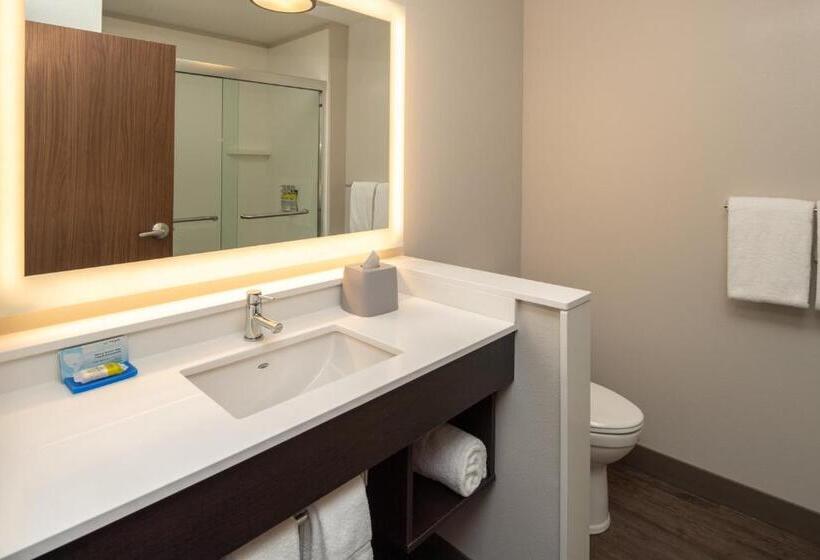 장애인을 위한 킹사이즈 침대 스탠다드 룸, Holiday Inn Express & Suites   Camas, An Ihg