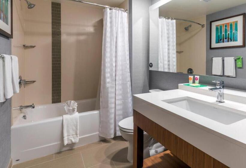 اتاق استاندارد برای معلولان, Hyatt Place Boise/downtown