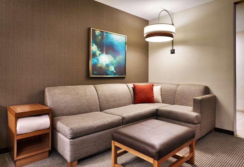 سوئیت با تخت بزرگ, Hyatt Place Boise/downtown