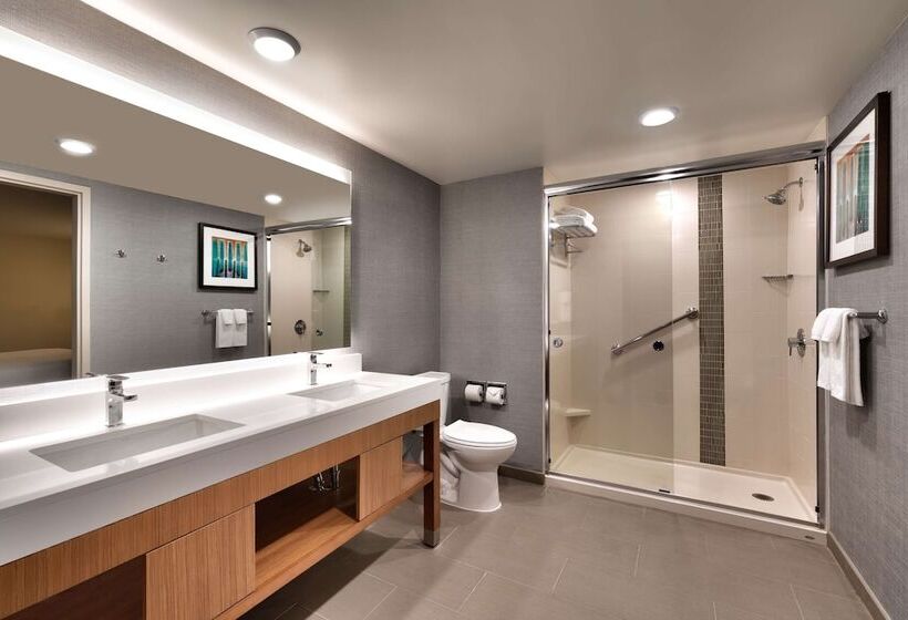 سوئیت با تخت بزرگ, Hyatt Place Boise/downtown