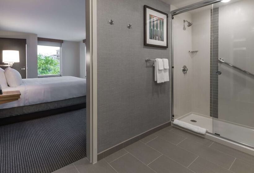 سوئیت با تخت بزرگ, Hyatt Place Boise/downtown