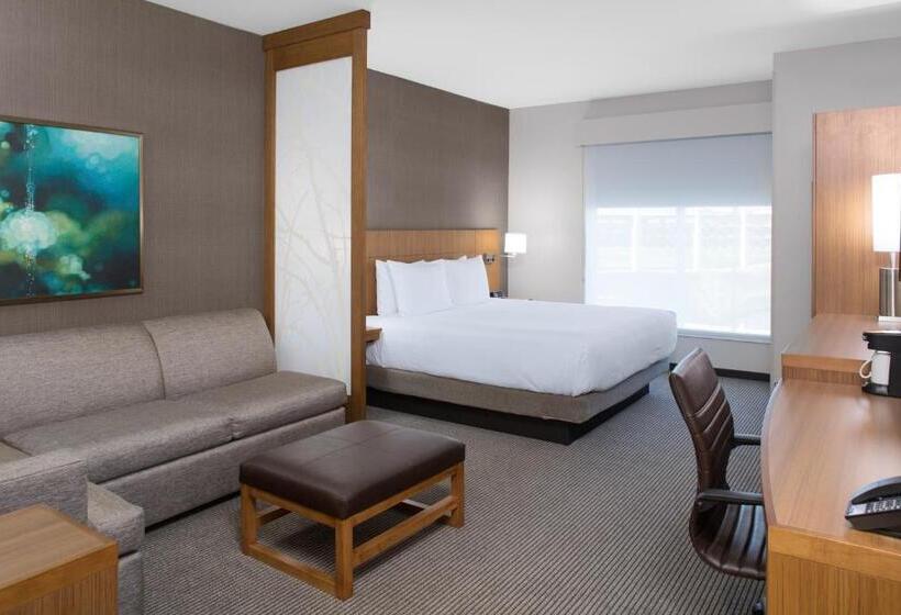 Стандартный Номер Кровать Кинг, Hyatt Place Dallas/the Colony