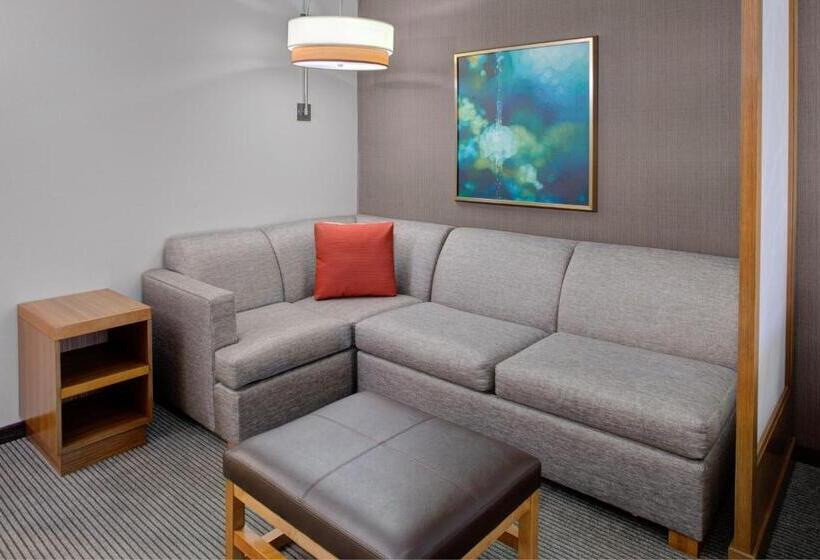 Номер Стандарт Верхний Этаж, Hyatt Place Dallas/the Colony